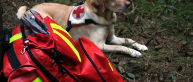 Event-Image for 'Erste Hilfe am Hund Kurs'