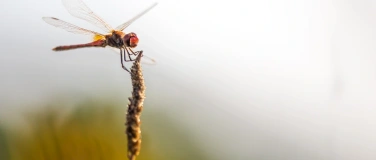 Event-Image for 'Entdecke die Mikrowelt'