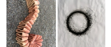 Event-Image for 'Holz und Wind aus Baden'