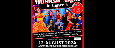 Event-Image for 'Musical Night in Concert'