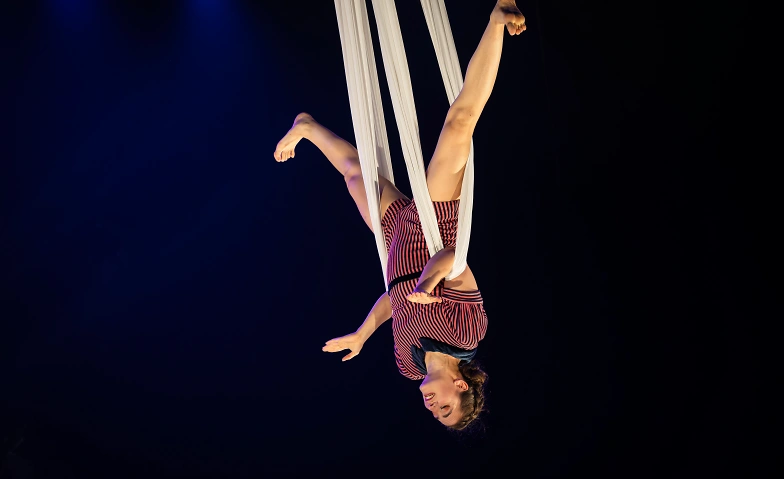 Circus Monti &ndash; &laquo;Bric Brac&raquo; Tickets