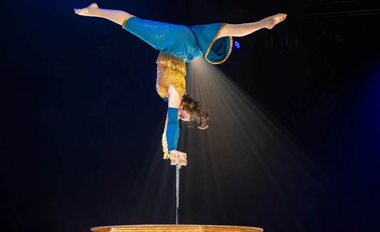 Circus Monti &ndash; &laquo;Bric Brac&raquo; Tickets