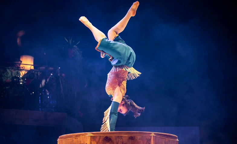 Circus Monti &ndash; &laquo;Bric Brac&raquo; Tickets