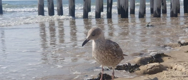 Event-Image for 'Müll und Meer'