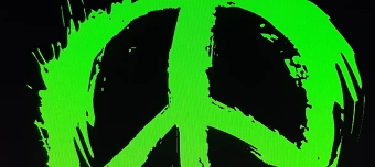Veranstalter:in von Rock'n'Ried