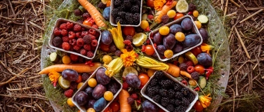 Event-Image for 'Sommertraum Beerenvielfalt'