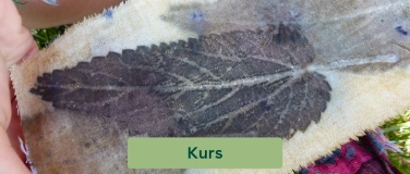 Event-Image for 'Brennnessel &ndash; von der Pflanze zur Farbe'