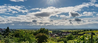 Veranstalter:in von Natur Campus