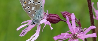 Event-Image for 'Natur in Uetikon'