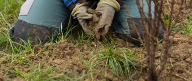 Event-Image for 'Natur verbindet - Heckenpflanzung auf der Familyfarm'