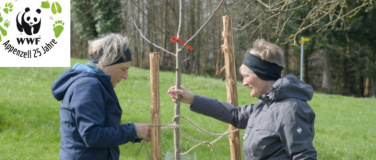 Event-Image for 'Natur verbindet - Hof Hörli's Hochstämmer'