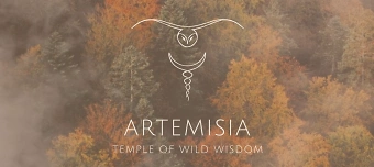 Veranstalter:in von Zykluszeit - Hormonwissen, Pflanzenkraft & weibliche Magie