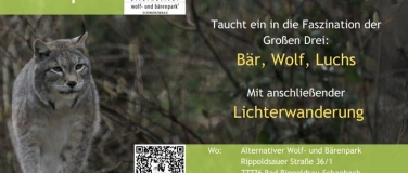 Event-Image for 'Nachts im B&auml;renpark'