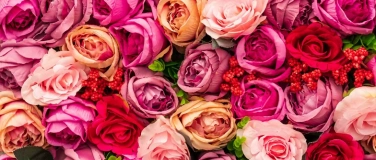 Event-Image for 'Valentine's Dinner'