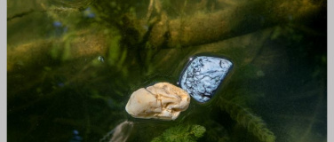 Event-Image for 'Nora dal Cero - Stranded'