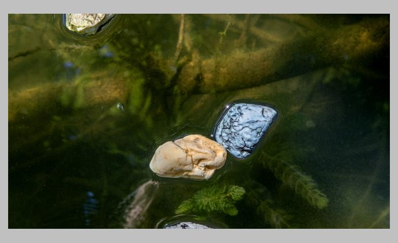 Event-Image for 'Nora dal Cero - Stranded'