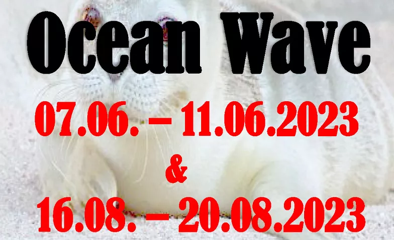 Norddeich Maritime Meile Mai/Juni 2024 Kunsthandwerk Ocean Wave Tickets