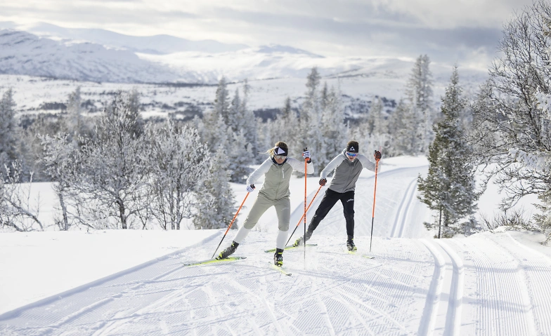 Event-Image for 'Langlauftest Balderschwang'