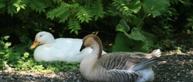 Event-Image for 'Erlebnisf&uuml;hrung: Wunder der Natur rund ums Ei'