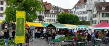 Event-Image for '&Ouml;komarkt'