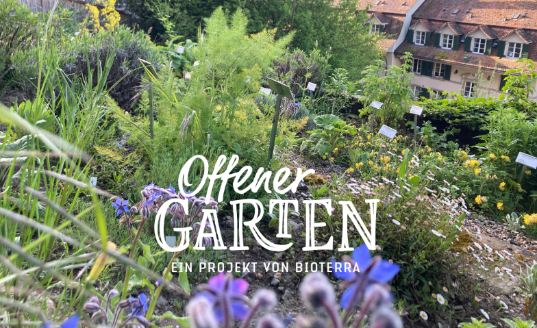 Event-Image for 'Offener Stiftsgarten - im Stiftsgarten verweilen'