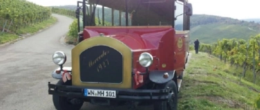 Event-Image for '„Herbstflair im Weinberg“ Rundfahrt mit dem Oldtimer-Bus'