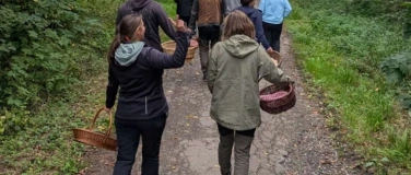 Event-Image for 'Geführte Pilzlehrwanderung mit PSV (DGfM) Philipp Sikorra'