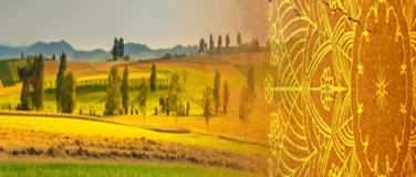 Event-Image for 'Yoga am Ort der Meditation'