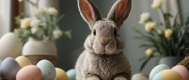 Event-Image for 'Osterbrunch'