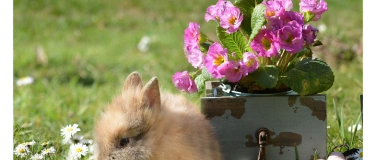 Event-Image for 'Ostern wird lecker! ...Mediterranes Büfett an Karfreitag'