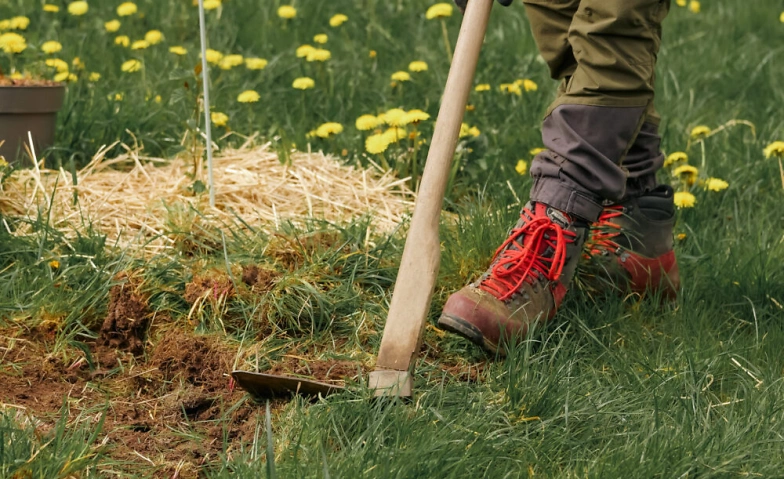 Permakultur-Start: Klimafester Gartenbau in St. Wendel
