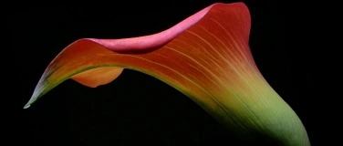 Event-Image for 'Vernissage in der Kunstgalerie: Fotograf Herbert Pregel'