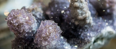 Event-Image for 'Mineralientage Dresden 2026'