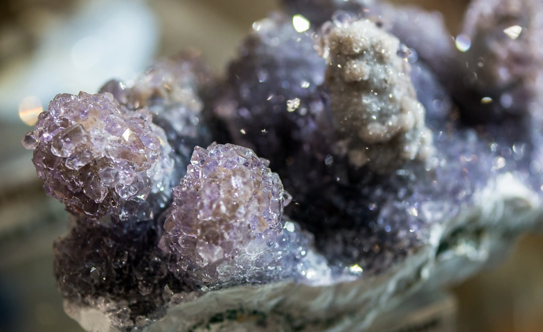 Mineralientage Dresden 2026 MESSE DRESDEN GmbH, Messering 6, 01067 Dresden Tickets