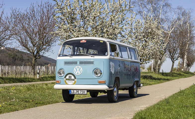 Event-Image for 'Mandelbl&uuml;tenfahrt im Oldtimerbulli'