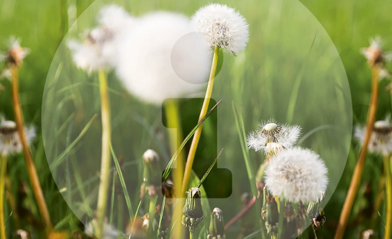 Info-Abend Weiterbildungen Palliative Care Tickets