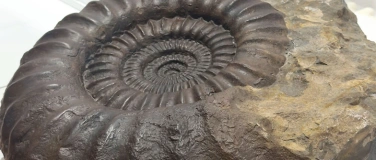 Event-Image for 'Parcours der Rekorde im KULTURAMA'