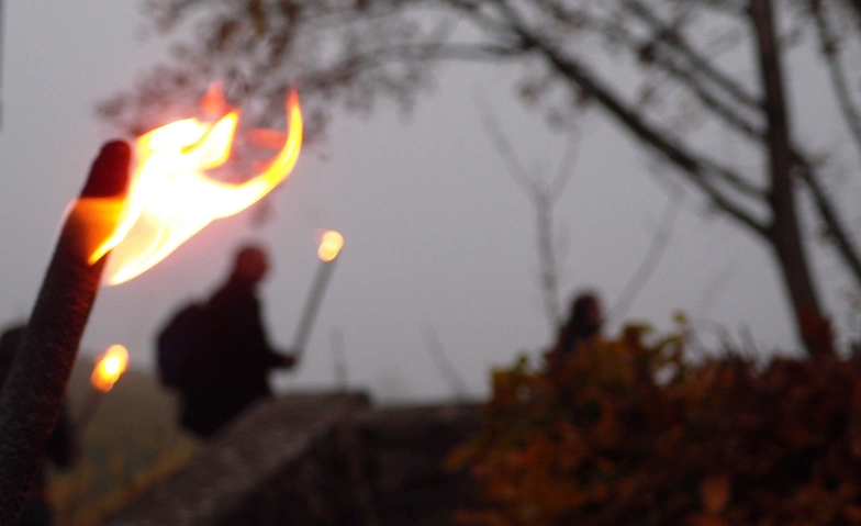 Fackel-Gl&uuml;hwein-Wanderung in Walluf Tickets