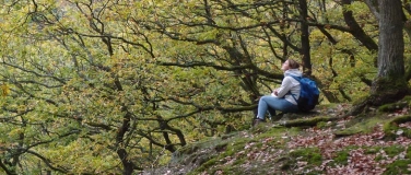 Event-Image for 'Waldbaden4Resilienz - tut K&ouml;rper, Geist und Seele gut'