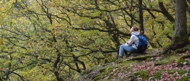 Event-Image for 'Waldbaden4Resilienz - tut K&ouml;rper, Geist und Seele gut'