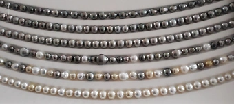 Event organiser of PERLENZAUBER - ZAUBERPERLEN