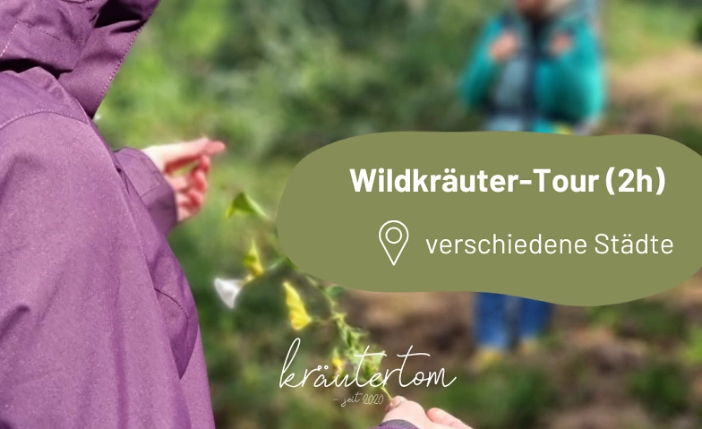 Event-Image for 'Wildkräuter-Tour (2h)  mit Nicole'