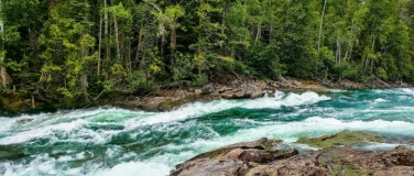 Event-Image for 'Vortrag "Steine brechen, Fluss verbessern"'