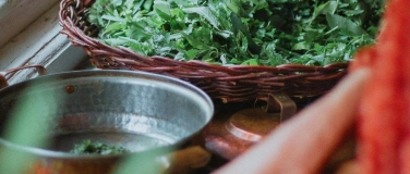Event-Image for 'Wildkr&auml;uterk&uuml;che &ndash; Sommerbl&uuml;ten'
