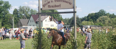 Event-Image for 'Pferde- und Bauernmarkt'