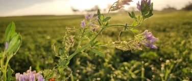 Event-Image for 'Von der Natur zur Kosmetik'