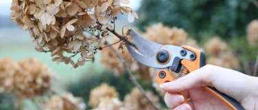 Event-Image for 'Pflanzenr&uuml;ckschnitt f&uuml;r Frauen'