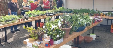 Event-Image for 'Pflanzentauschmarkt mit Dorfhock in Elgersweier'