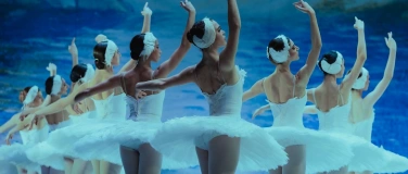 Event-Image for 'Grand Classic Ballet Jenseits der B&uuml;hne live Streichquartett'