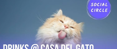 Event-Image for 'Cats & Chats – Sunday Social at Casa del Gato'